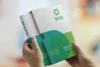 专业姜堰VI设计公司赋能企业品牌视觉…
